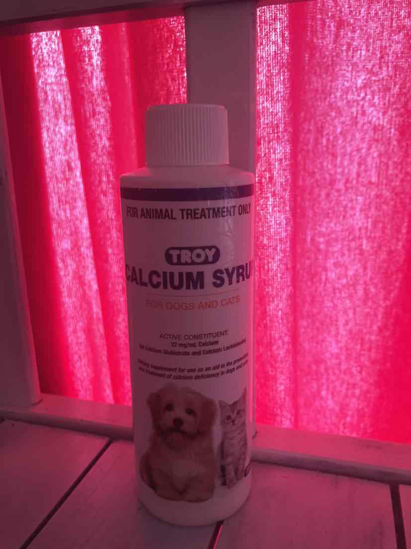 Troy calcium 2024 syrup for dogs