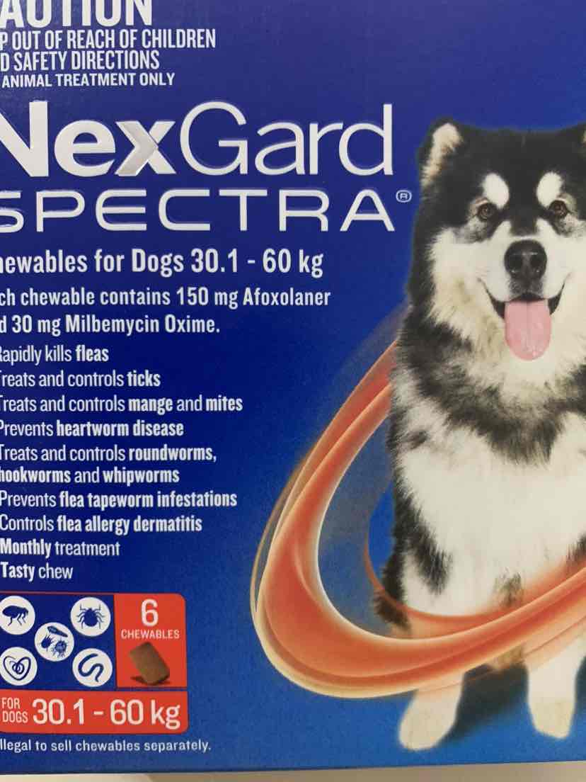 nexgard spectra for extra large dogs