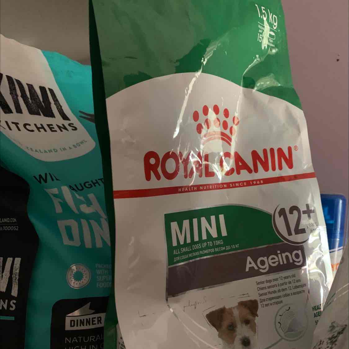 Mini AGEING 12 + 1,5 Kg – Seniorenfutter Für Kleine Hunde
