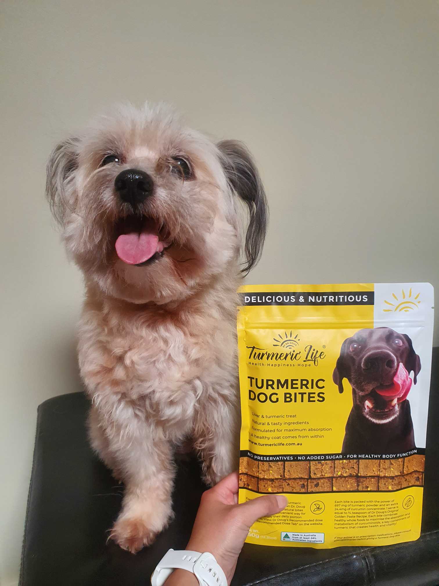 Turmeric Life Turmeric And Liver Bites For Dogs 350gm 42.88