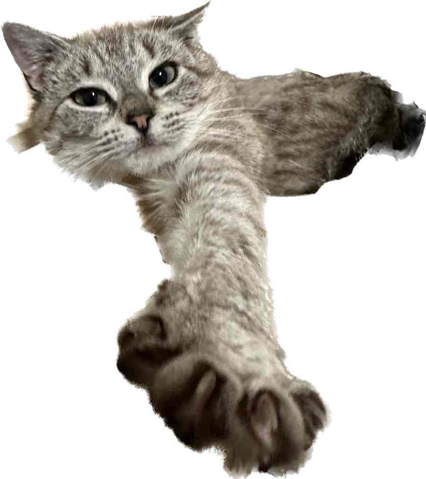 Meals for Meows MfM Single Meat Protein Grain Free Kangaroo Adult Dry