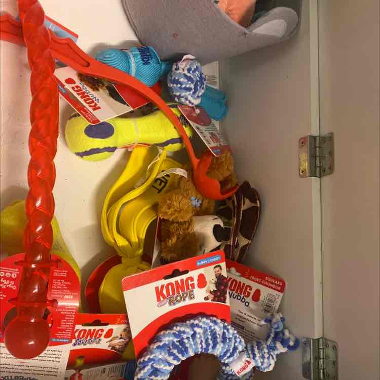 KONG Comfort HedgeHug Hundespielzeug - Weicher Igel Plüsch Mit Quietscher