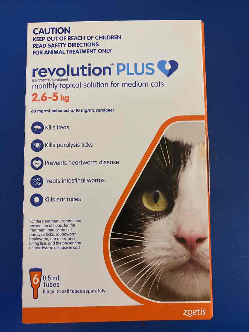 Revolution plus for hot sale cats 6 pack