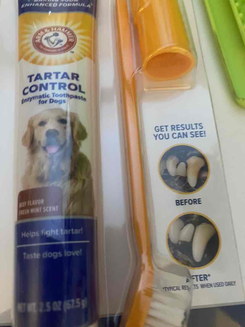 Arm And Hammer Tartar Control Dental Kit With Banana Mint Toothpaste