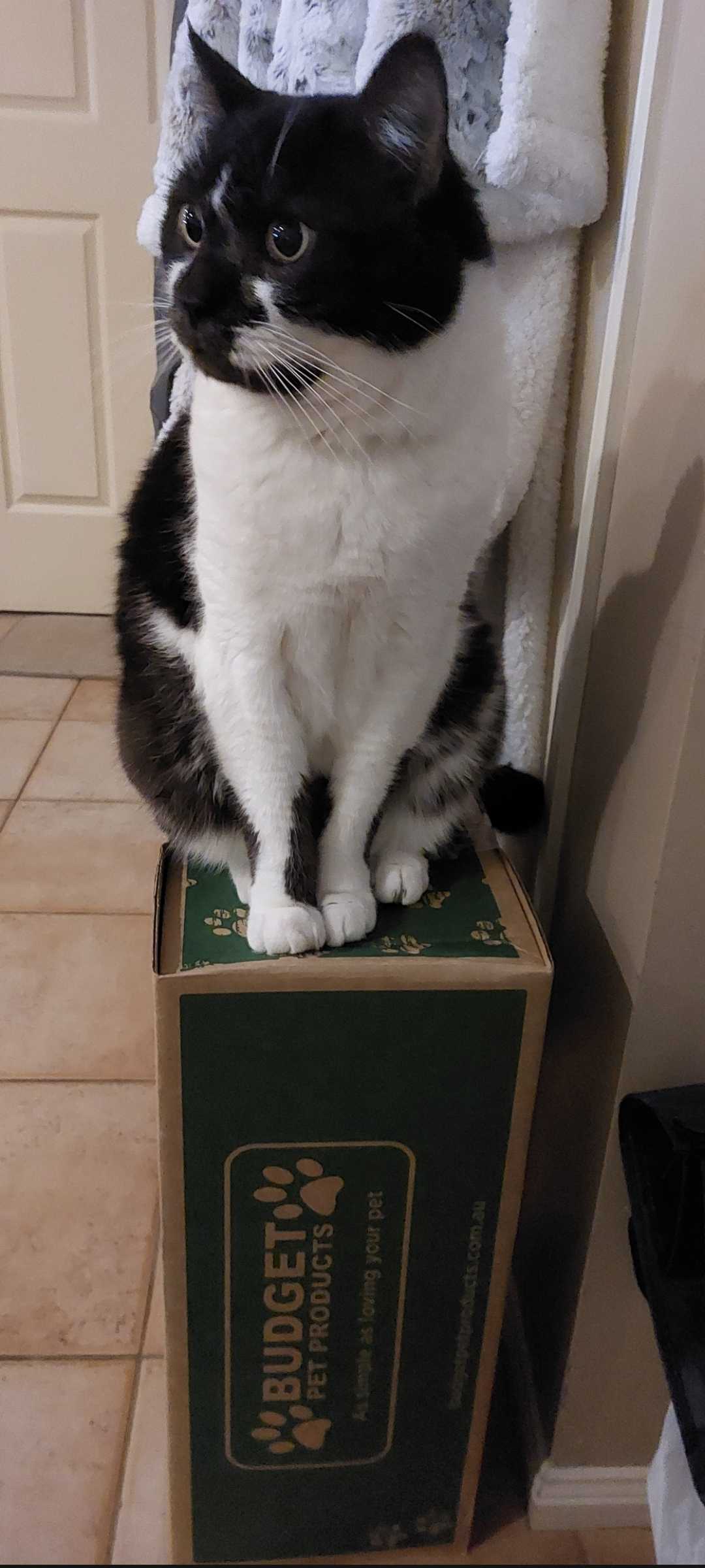 Trouble And Trix Ultra Scoop Ocean Breeze Clumping Cat Litter 10L 10kg