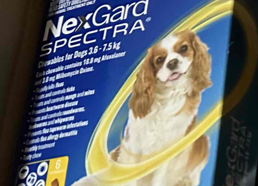 NexGard Spectra Chewables For Small Dogs Yellow 3.6 -7.5kg 12 Pack - $159.99