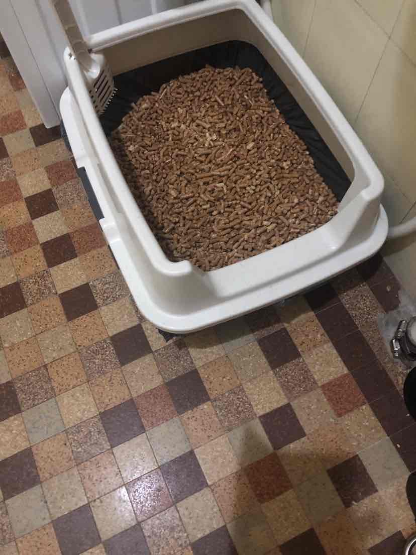 Kitter Wood Pellet Cat Litter 30kg 44.00
