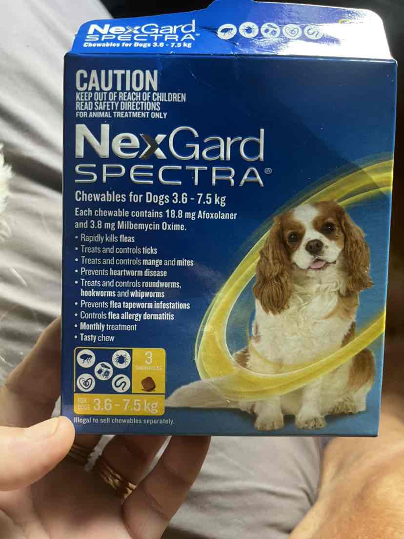 NexGard Spectra Chewables For Small Dogs Yellow 3.6 -7.5kg 3 Pack - $62.99