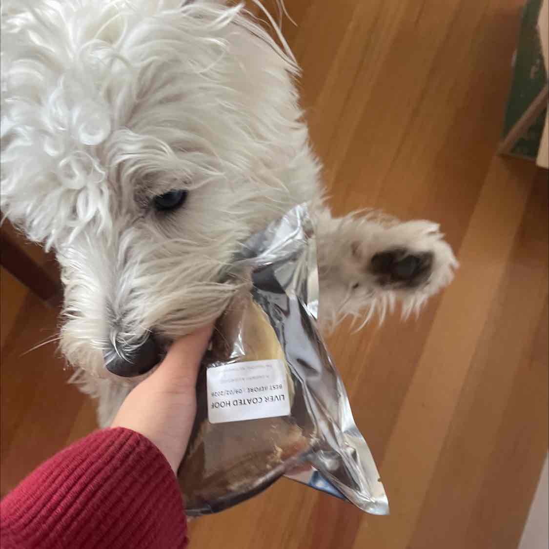 Petz Tucker Australian Cow Hoof Beef Chew Natural Liver Coated Treat