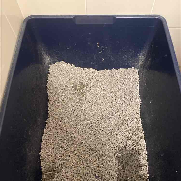 Breeders Choice Biodegradable Recycled Paper Litter For Cats 45L 38.99