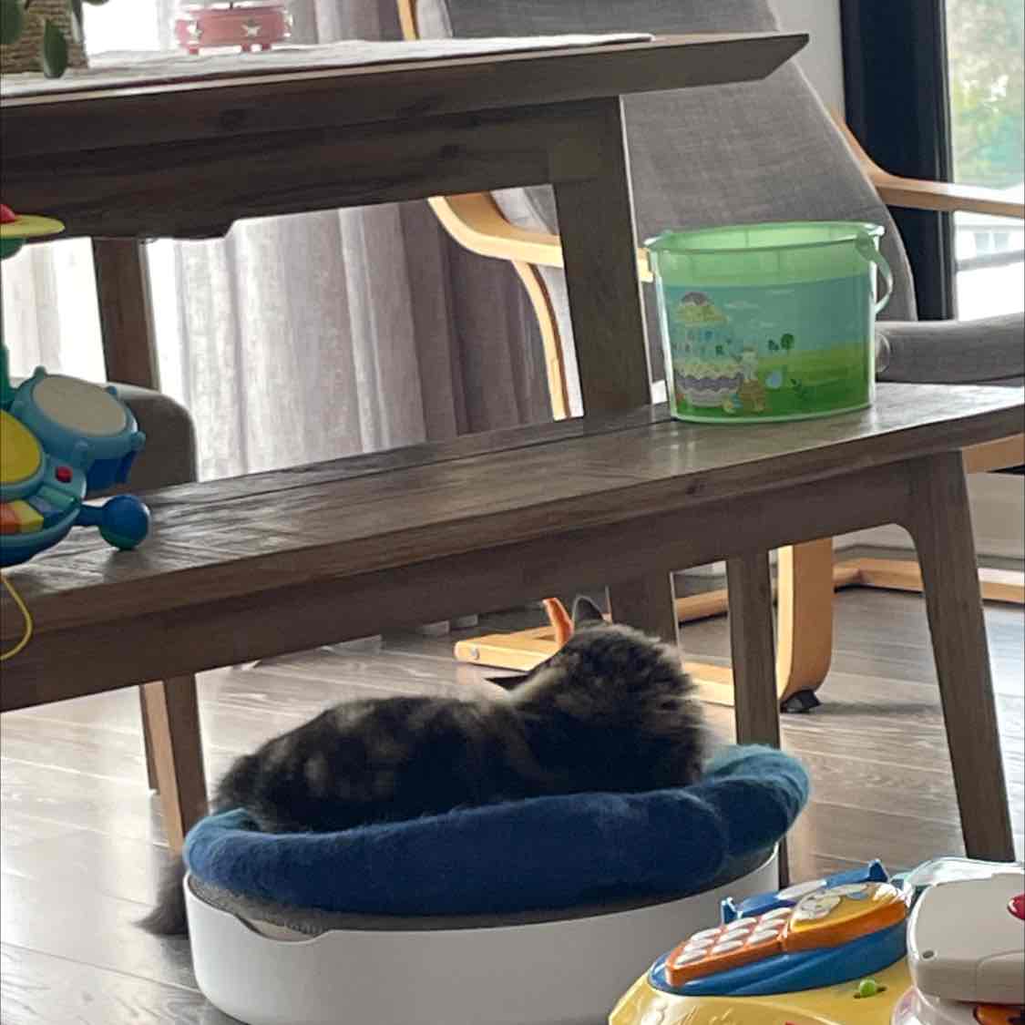 Breeders Choice Biodegradable Recycled Paper Litter For Cats 45L 38.99