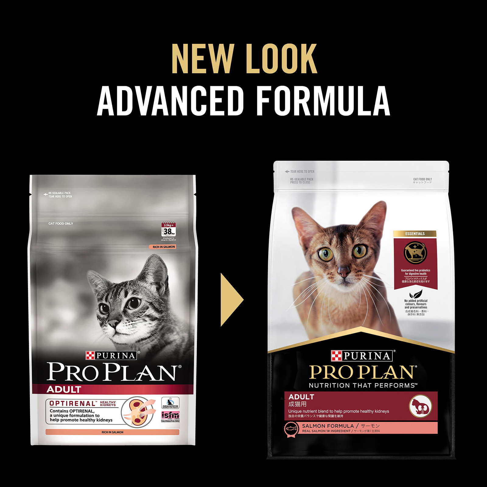 purina pro plan cat food salmon