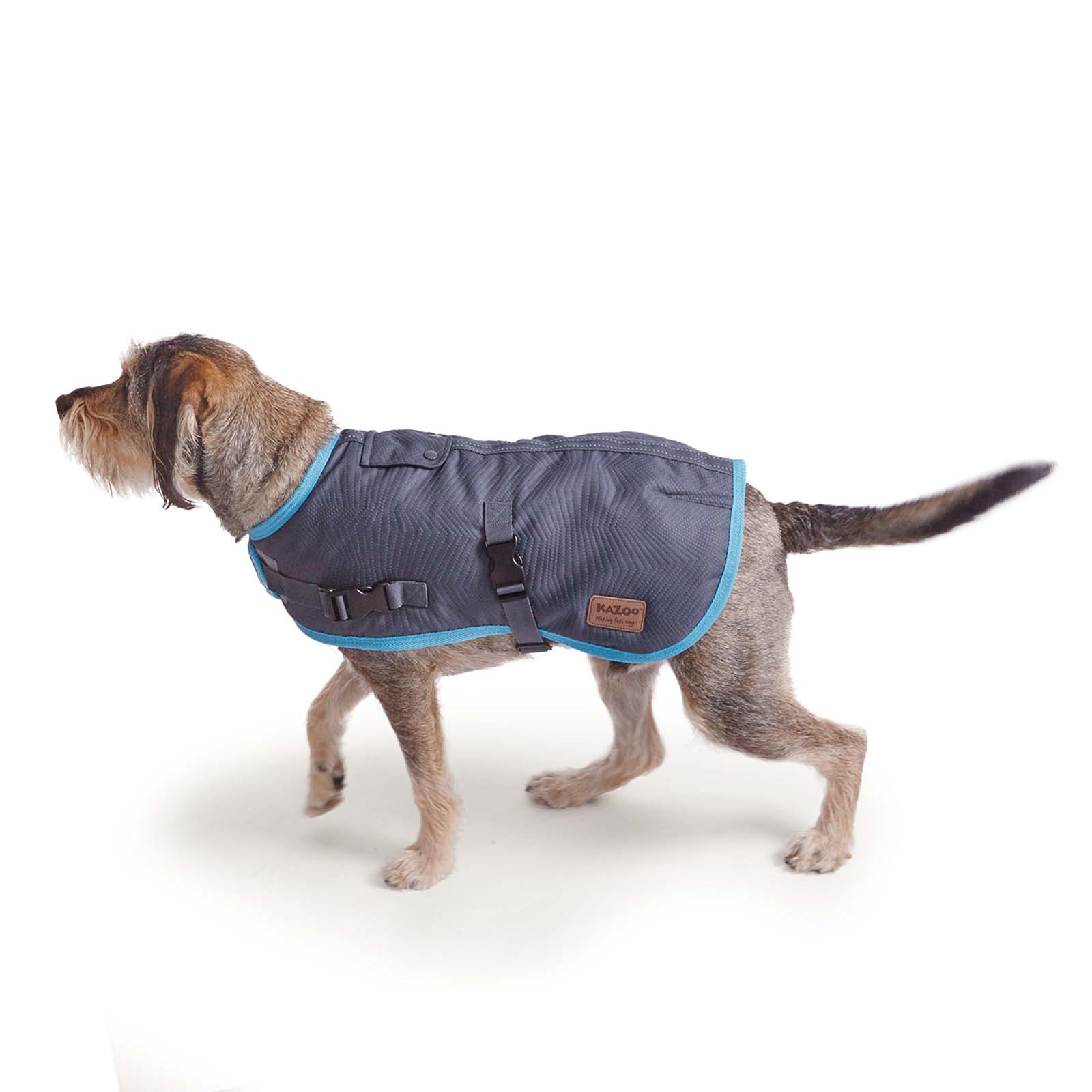 Kazoo Active Adventure Waterproof Winter Dog Coat With Harness Hatch