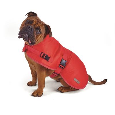 kazoo snuggle jacket