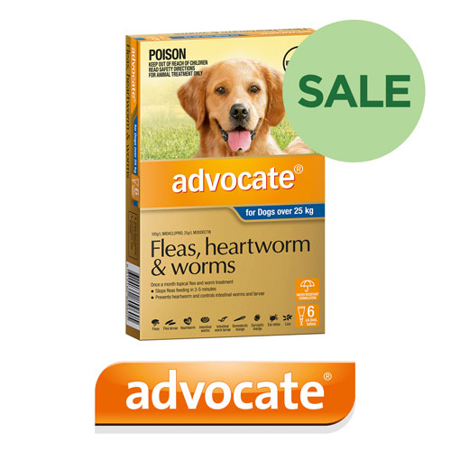 Dog and Cat Flea Tick & Worm Specials