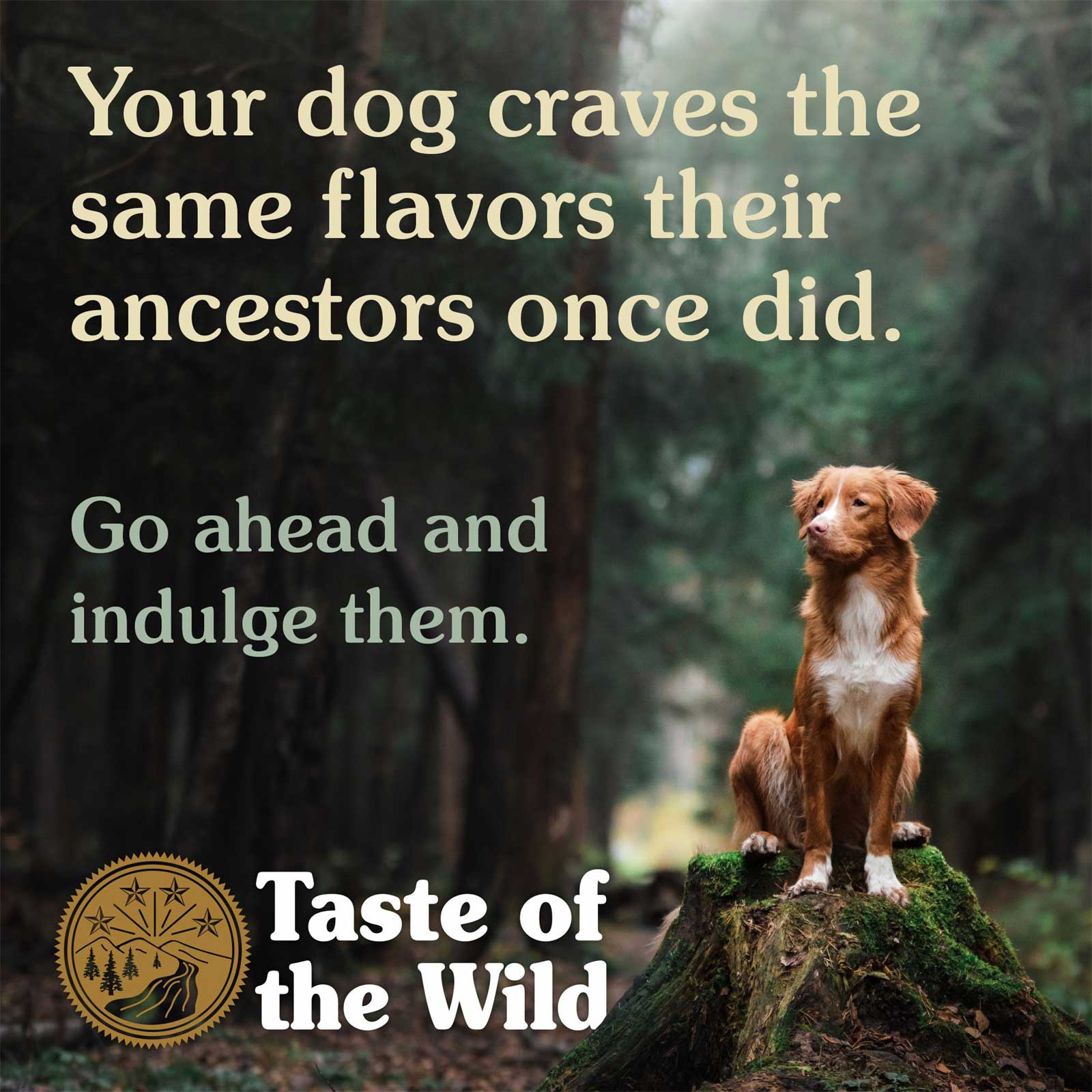 taste of the wild bison and venison dry dog food