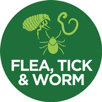 Flea, Tick & Worm