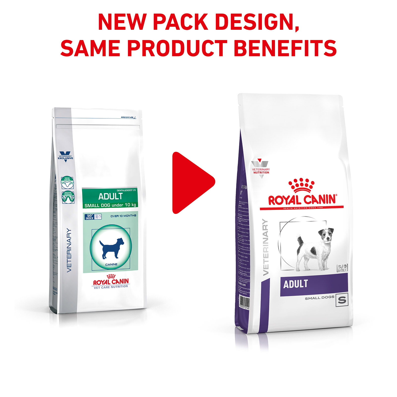 royal canin adult small dog