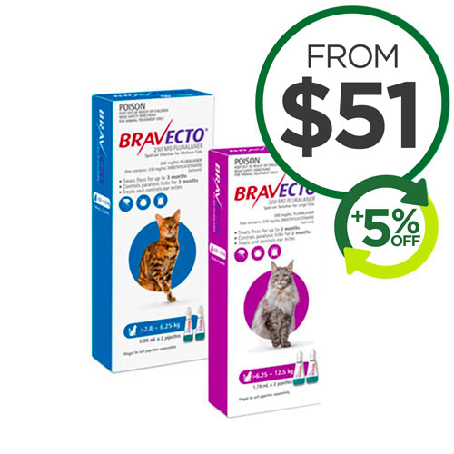Bravecto Spot On For Cats Packs On Sale