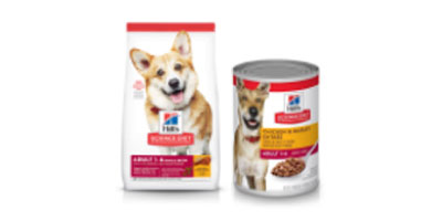 Best Dog Food The Ultimate Buying Guide Budget Pet Products