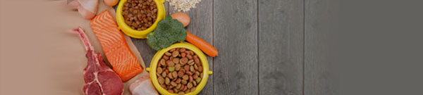 Health cat food ingredients, with chicken, salmon and vegetables