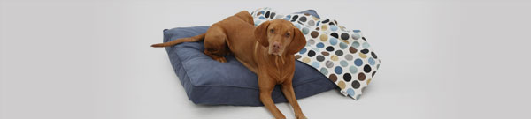 Dog laying on a grey bed