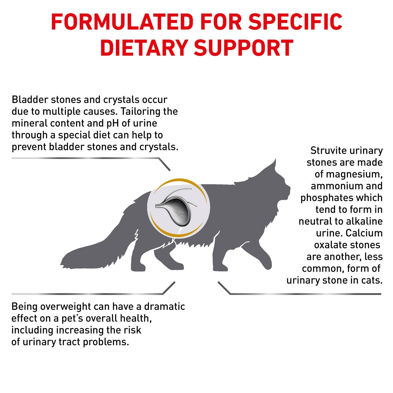 dry cat food for urinary crystals