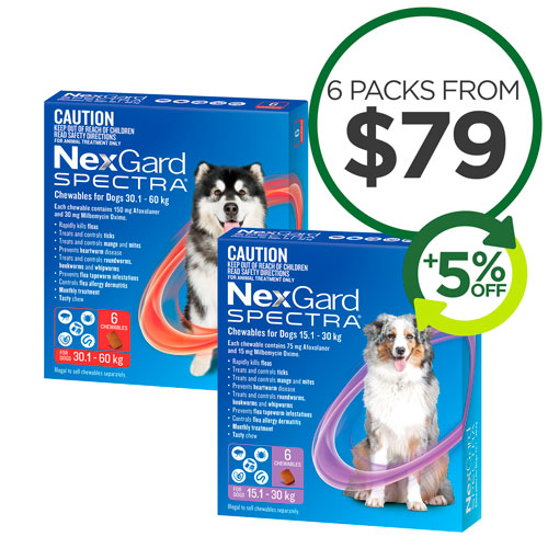 Nexgard Spectra
