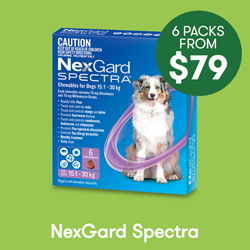 P42022-NexgardSpectra-Hero-Tile-1