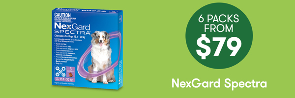 P42022-NexgardSpectra-Hero-Tile-1