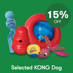 P42022-KONGDog-Hero-Tile-2