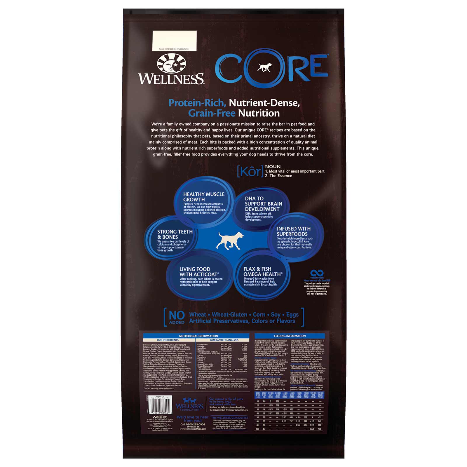 wellness core dog food large breed puppy