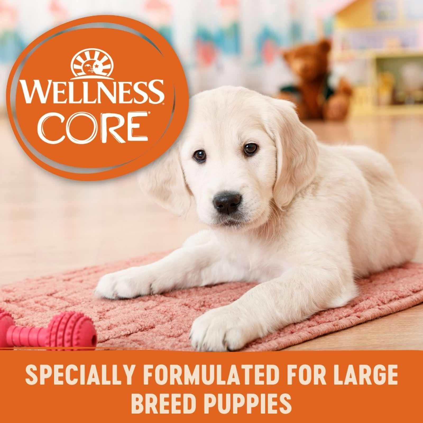 wellness core dog food large breed puppy