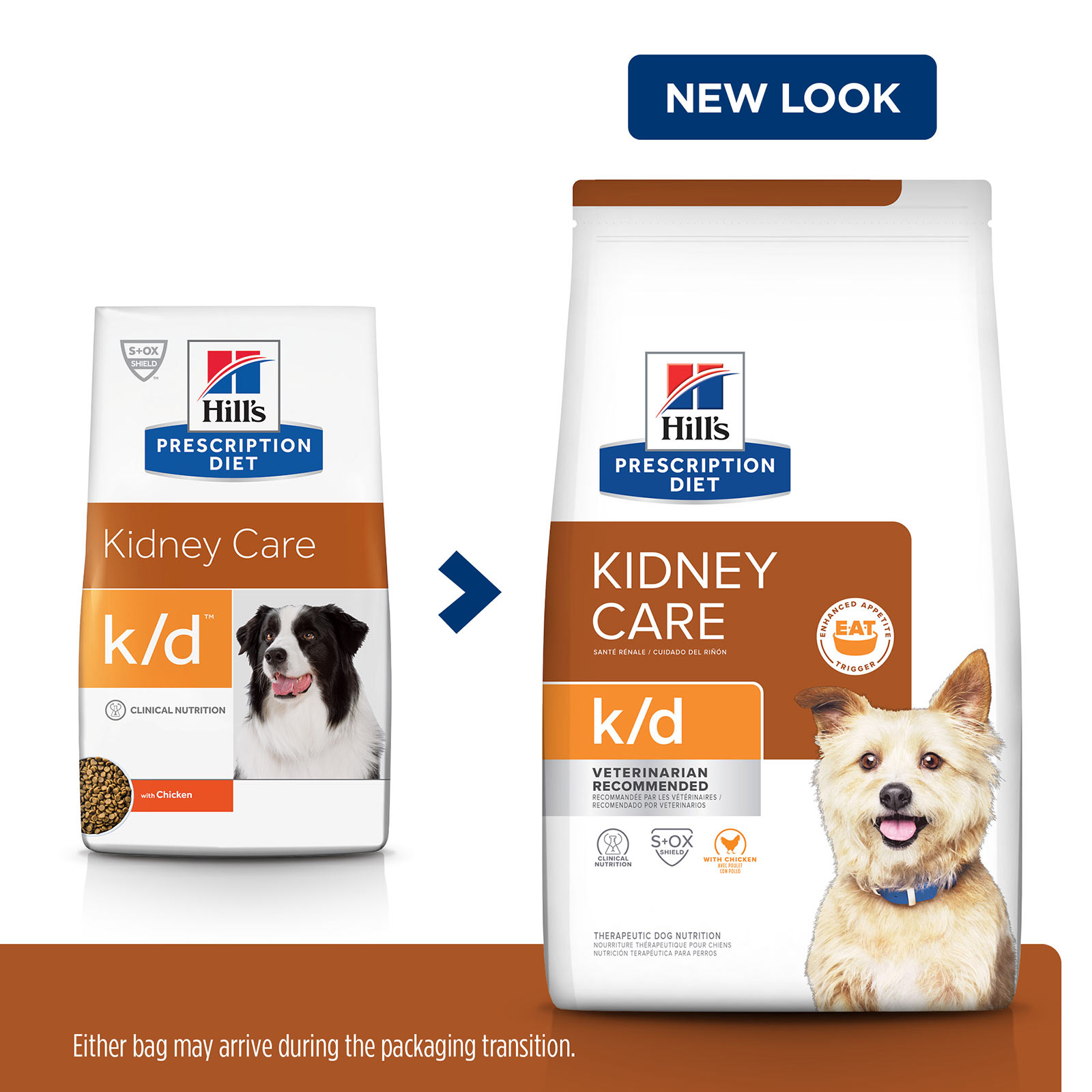 hill's science diet renal dog food