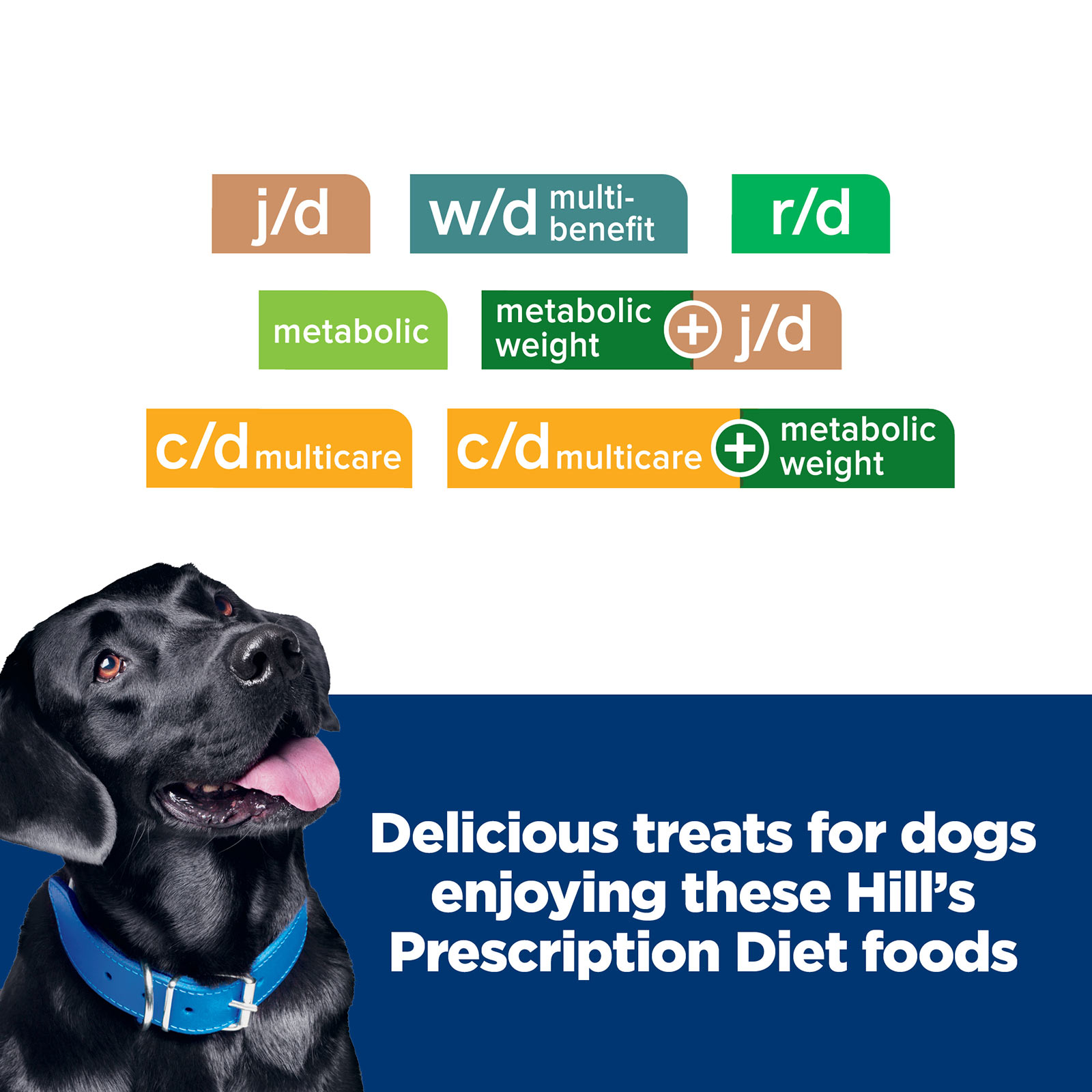 prescription dog treats