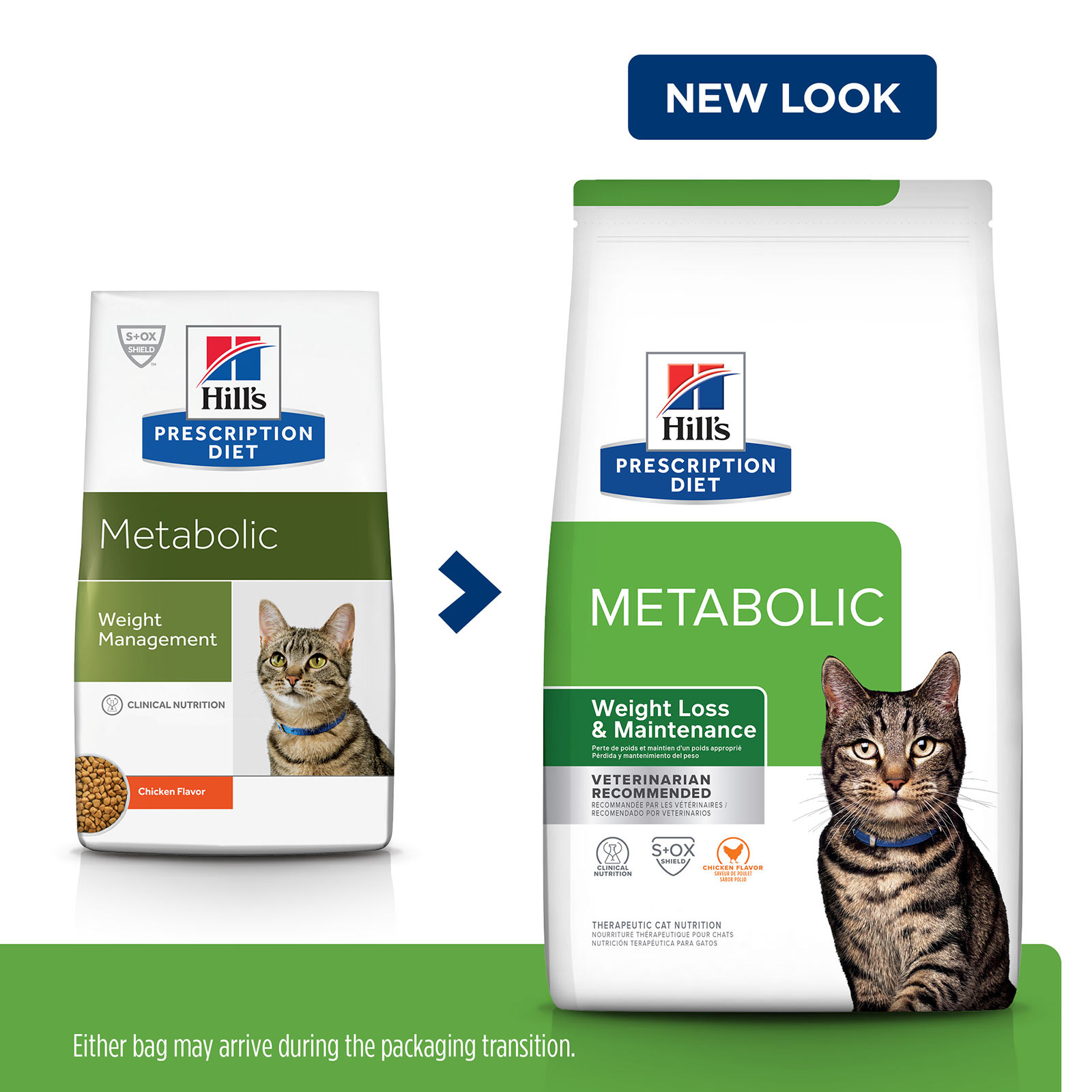 hills feline metabolic feeding guide