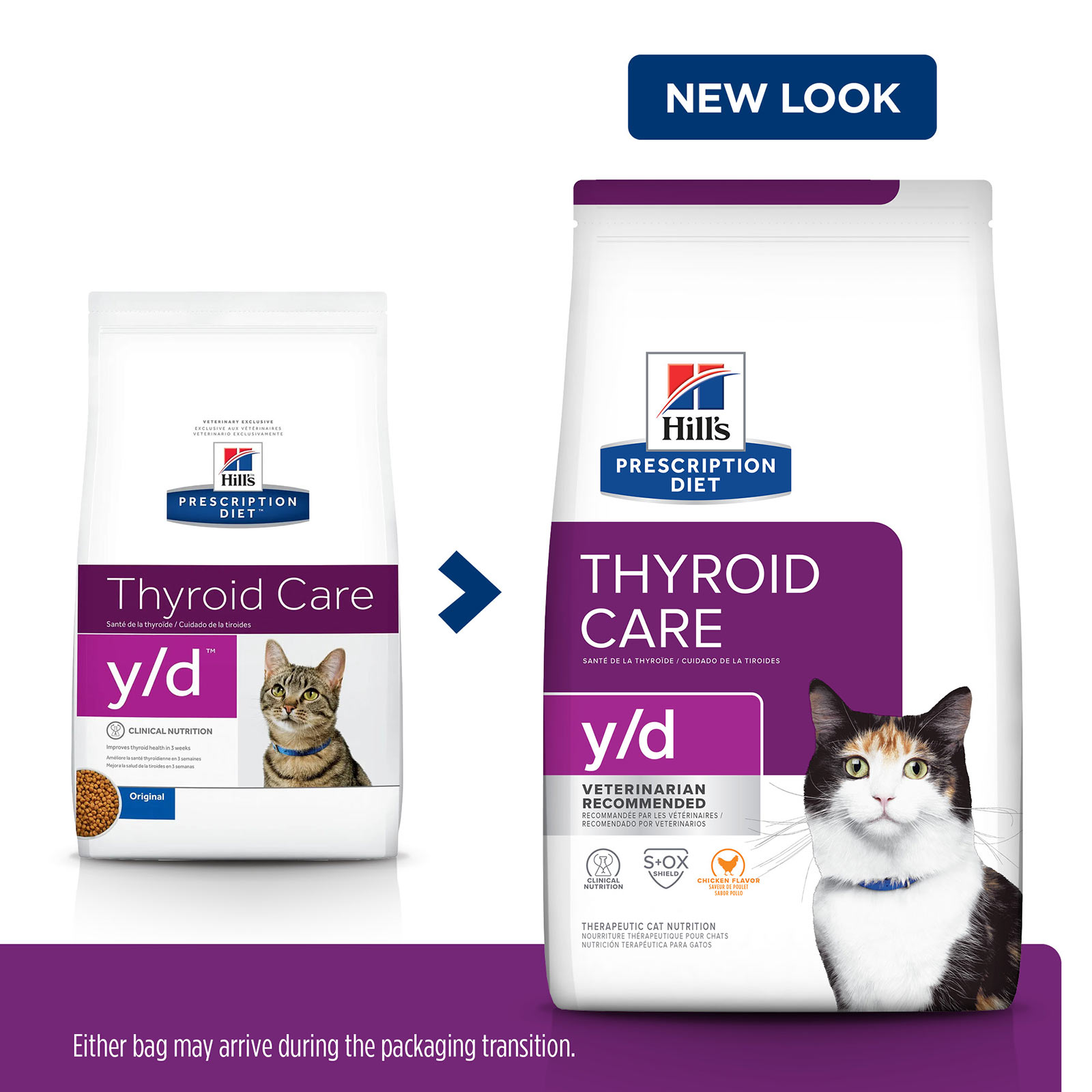 hills yd thyroid cat food