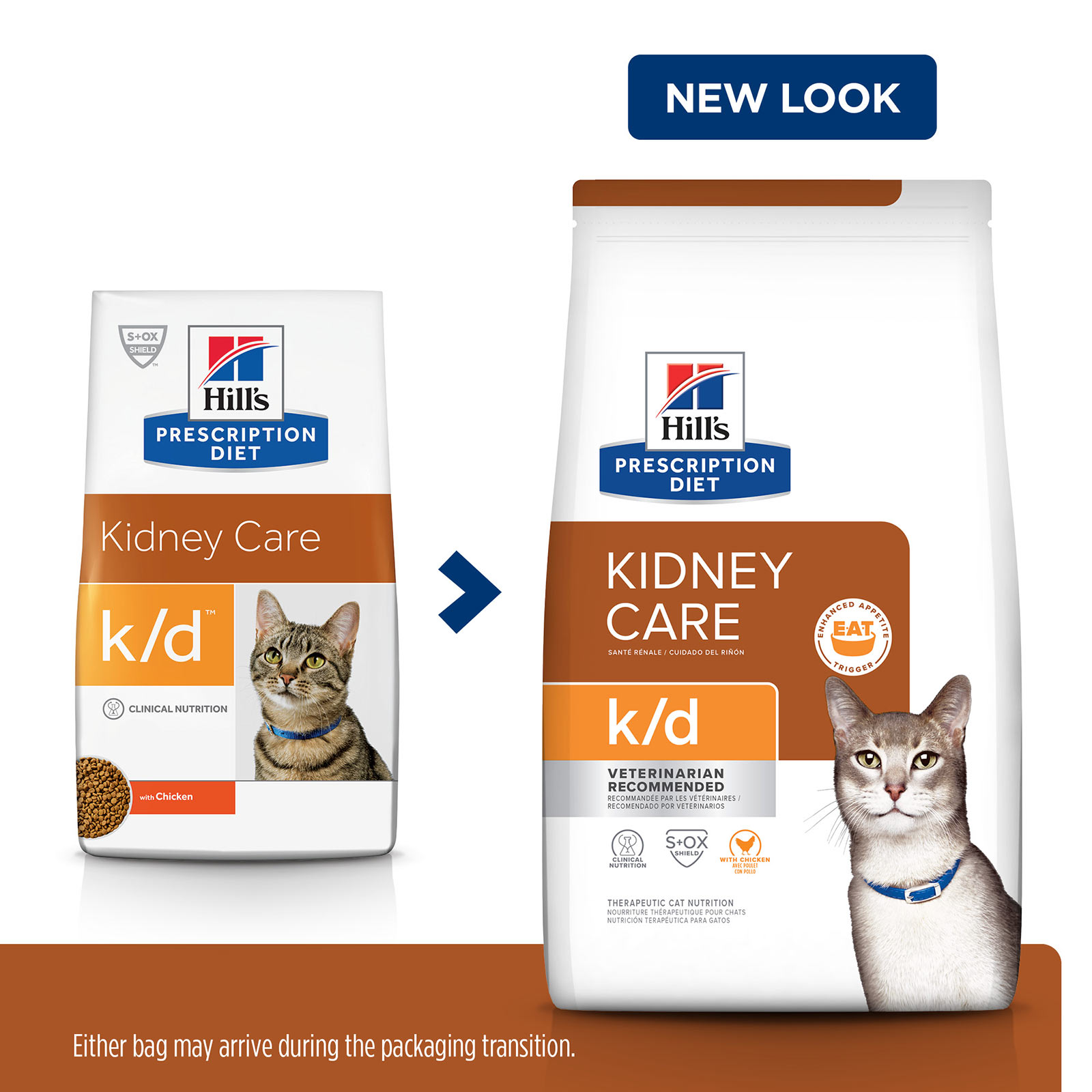 kidney healthy cat food