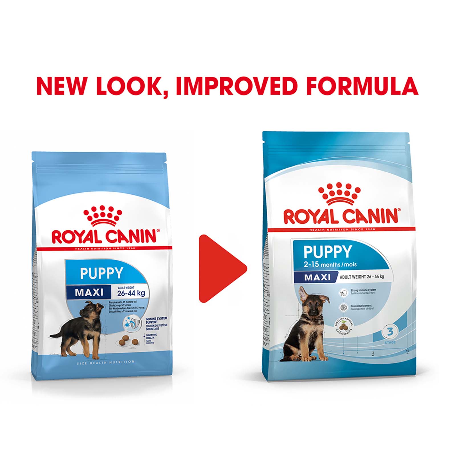 royal canin food for 3 month old puppy