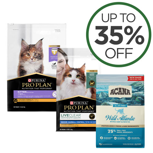 Dog and Cat Food Specials