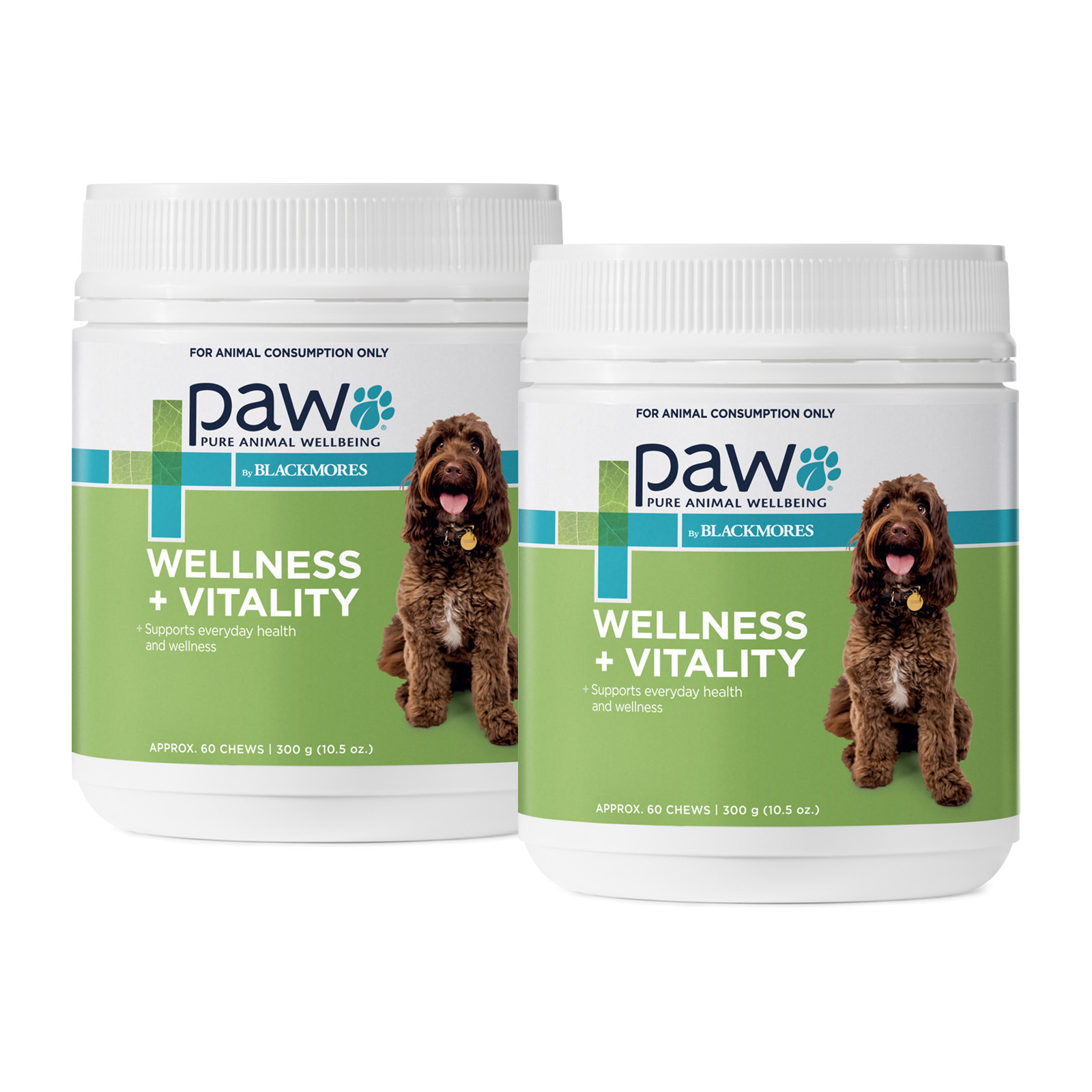 PAW By Blackmores Wellness And Vitality Multi Vitamin For Dogs 600gm