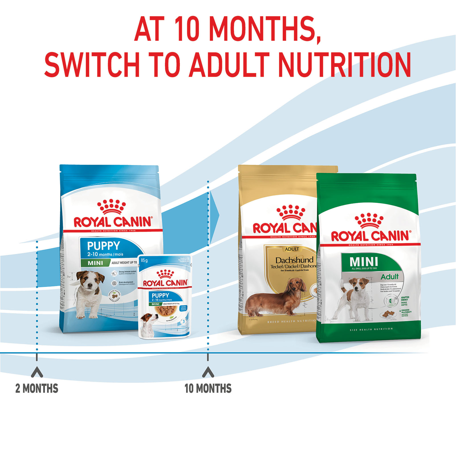 royal canin salmon puppy food