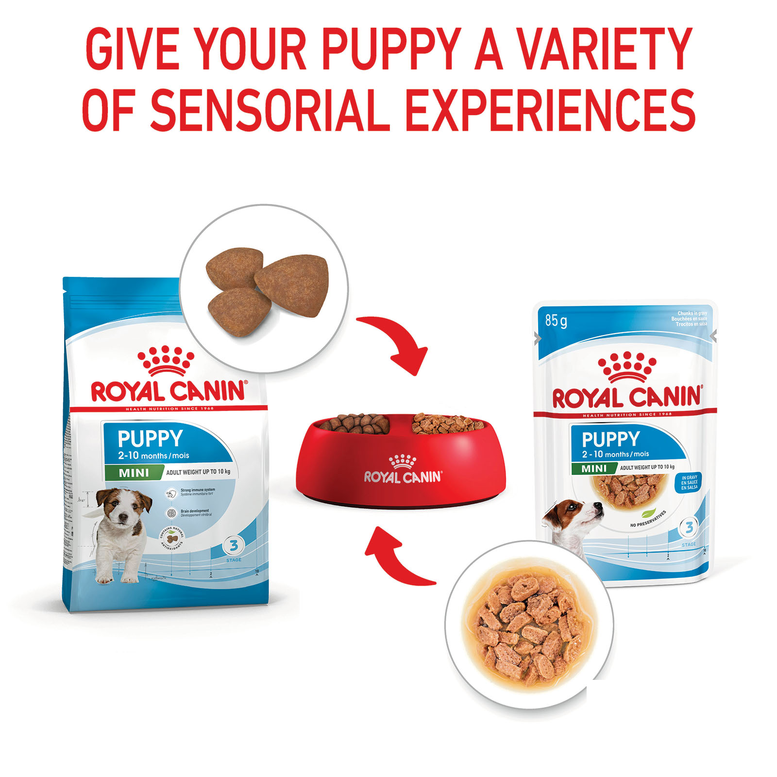 royal canin puppy mini sauce