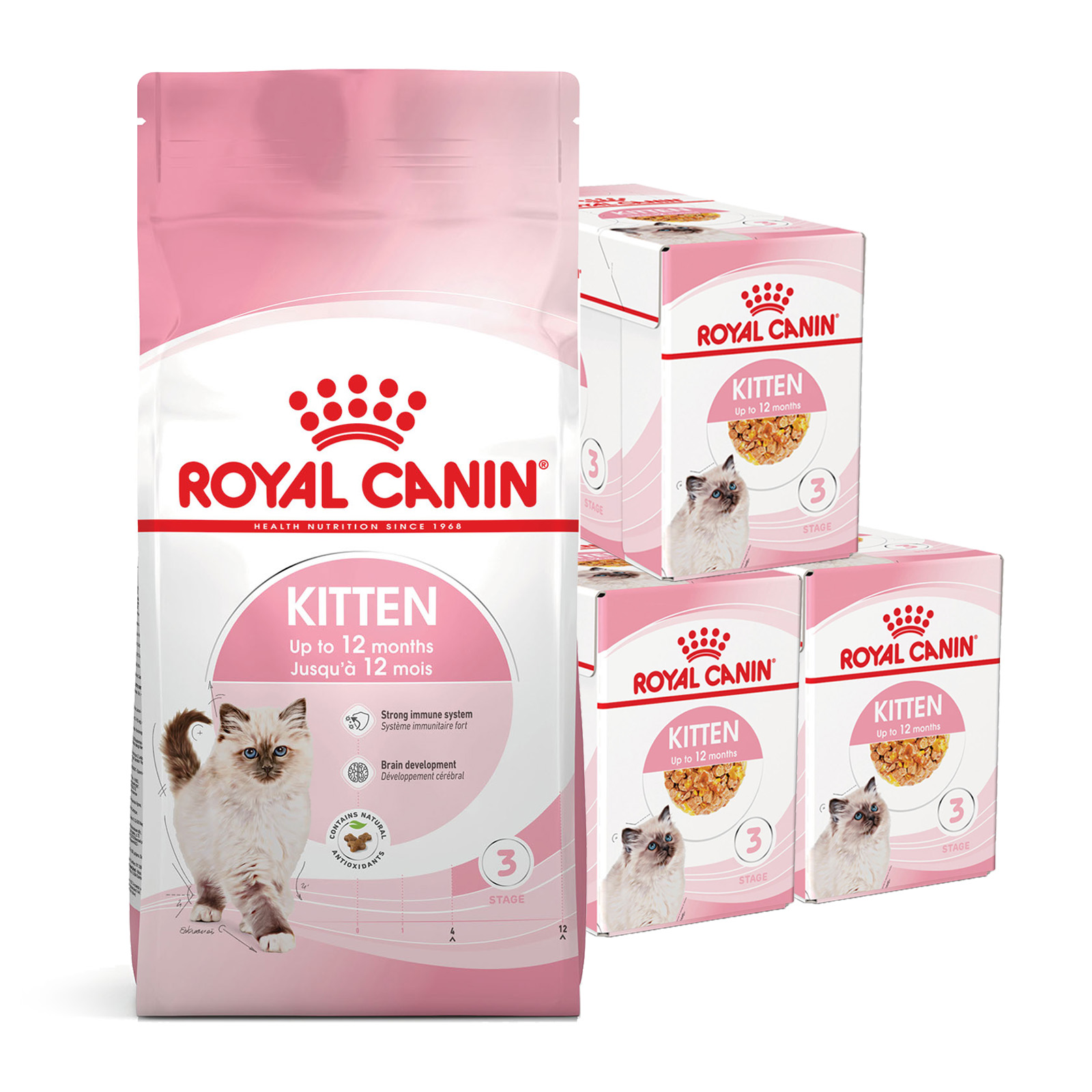 royal canin kitten canned food