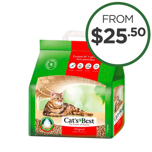 Cat Litter Specials
