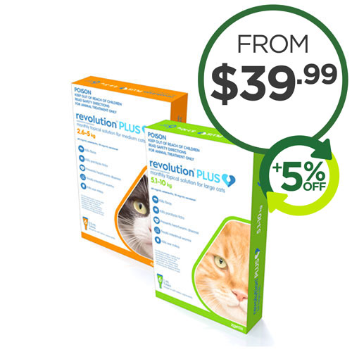 Dog And Cat Flea Tick & Worm Specials