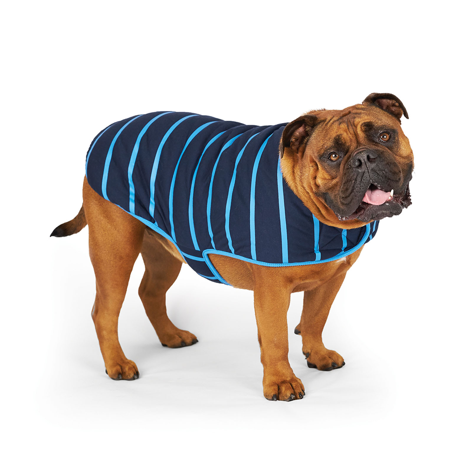 xxsmall dog coat