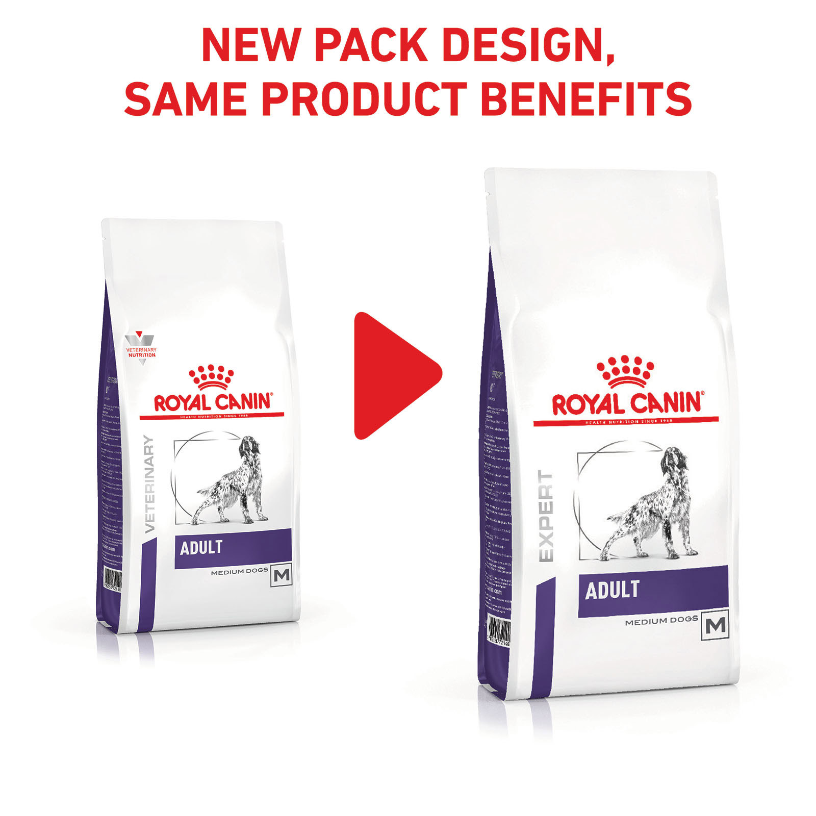 royal canin adult vet