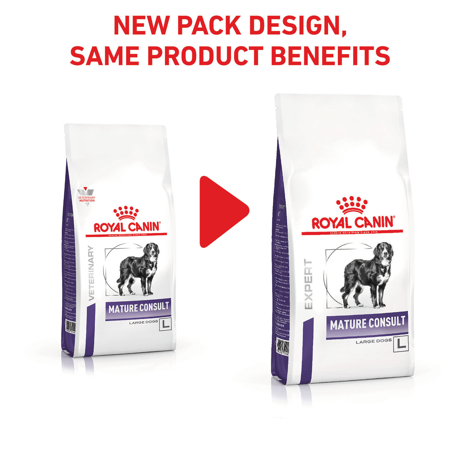 royal canin mature large dog food