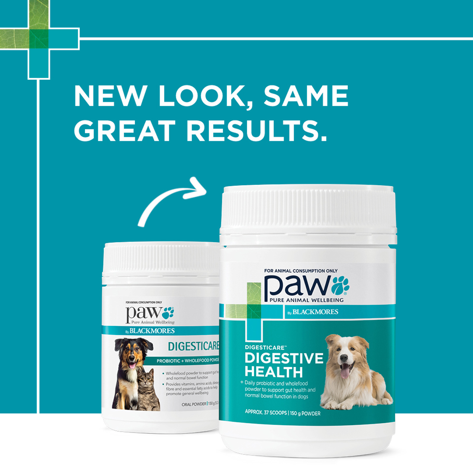 natural dog company probiotic